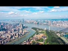 レッド・ドンフェング 4人座ミニカー エコノミカー 60km/h