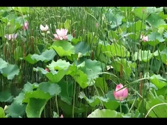 LanTu TREE ヴォヤ フリーカー ヴォヤ SUV 電動車 520KM 急速充電 0.5H