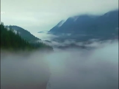 Voyah フリーSUV電気自動車