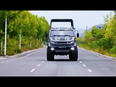 4x4 砂漠観光車