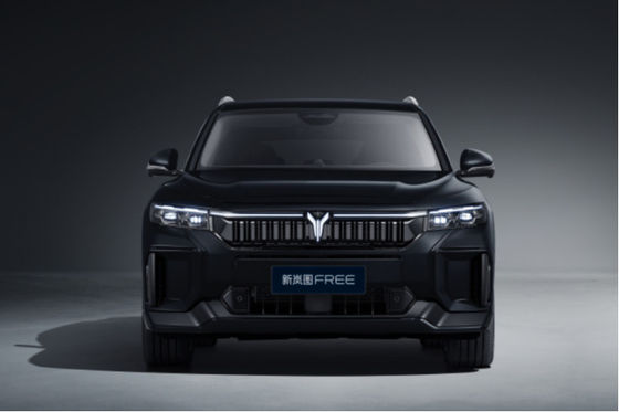 ドンフェンフリー 2025版 318KM 中型から大型SUV,CLTC全範囲 1458KM